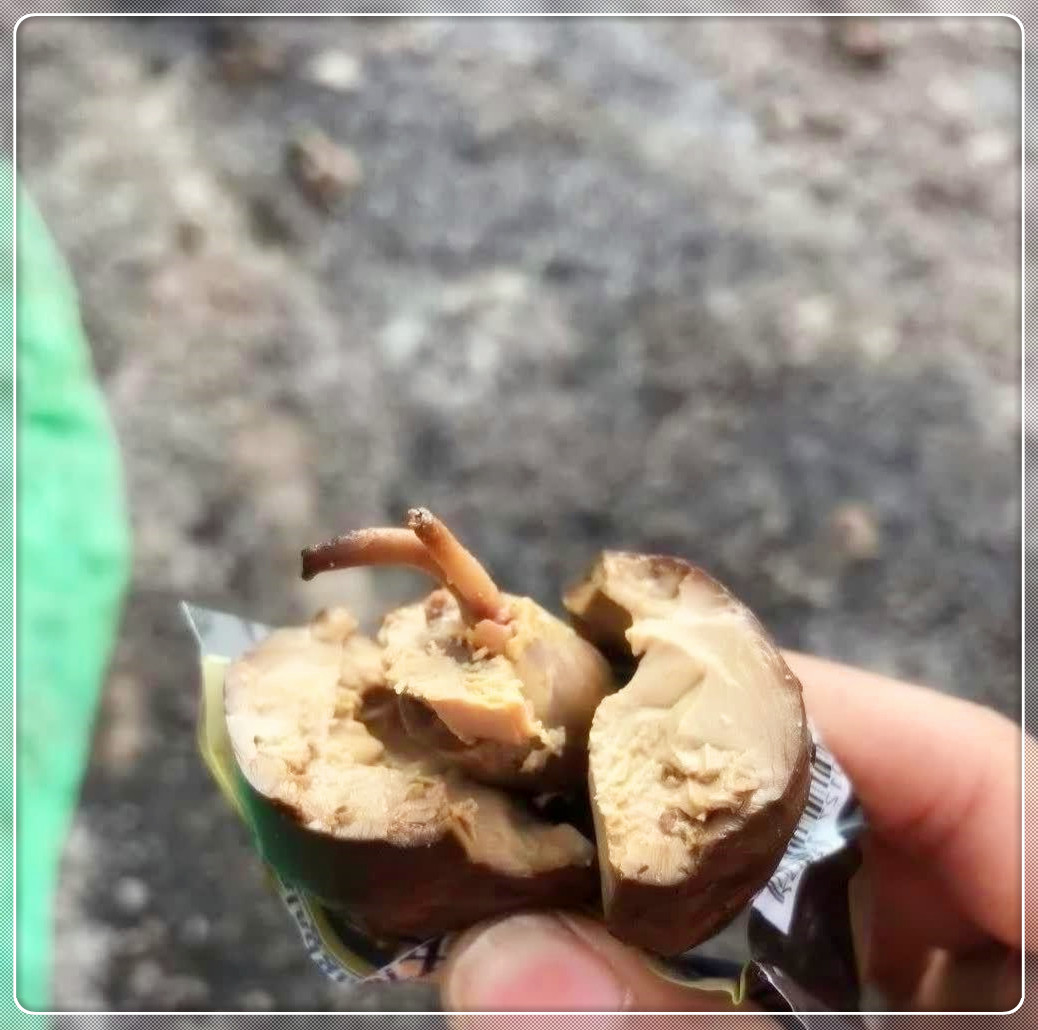 买卤蛋，吃出异物，应如何处理？