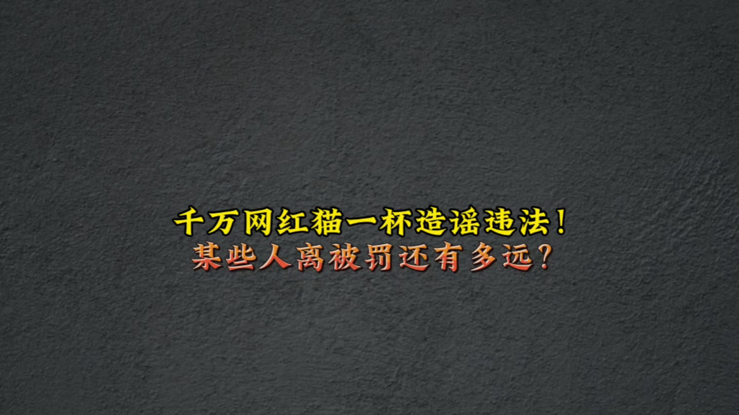 千万网红猫一杯造谣违法！某些人呢？