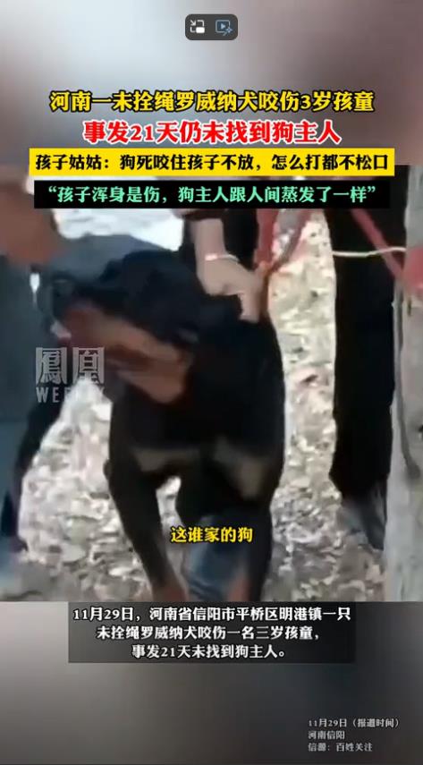 河南信阳，3岁孩子和妈妈在广场玩时，突然出现一条罗威纳犬咬住了孩子的脸拖走，虽然