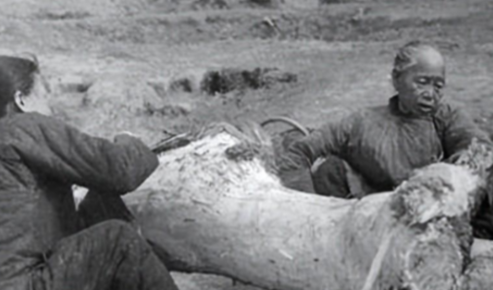 1962年，陈云提议分田到户遭毛主席批评，如今才发现伟人用心良苦！

1962年