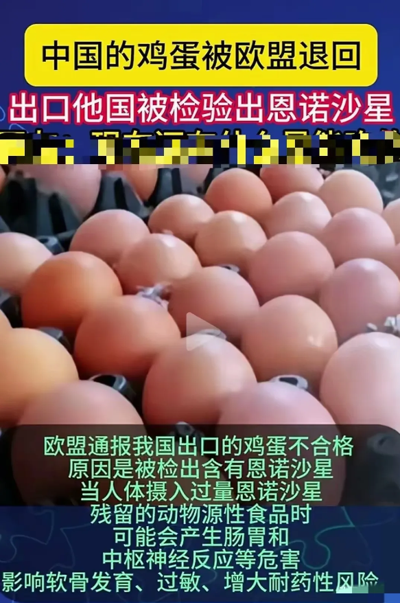 到底怎么了：中国的鸡蛋检测出恩诺沙星被欧盟退回！
近日，中国出口到欧州国家的鸡蛋