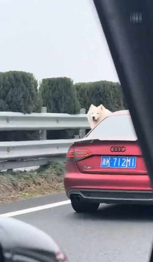 老乡你也回家呀～