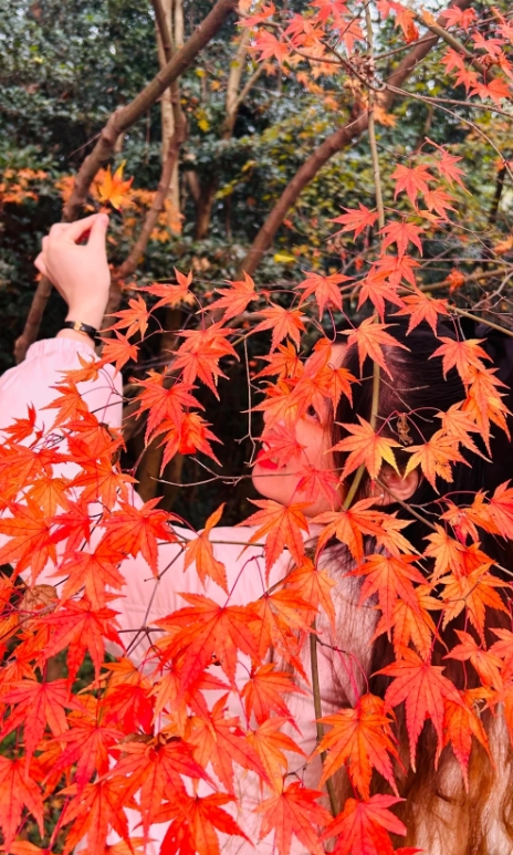 南京三天两夜旅游攻略