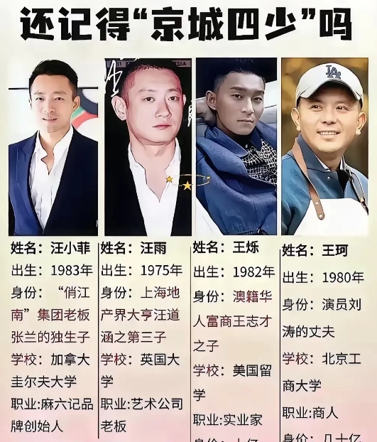 还记得京城四少吧？汪小菲排第一，京圈地位一目了然。他不仅背景强大，个人魅力与能力