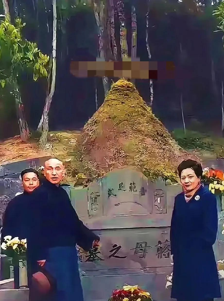 1949年，蒋介石败退台湾前，带着宋美龄和儿子蒋经国到自己母亲王采玉的墓前，做最