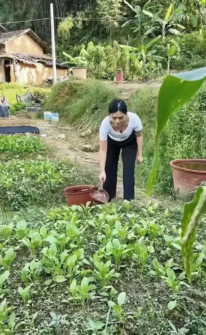 嫂子真勤快，每天都给菜浇水！ ​​​