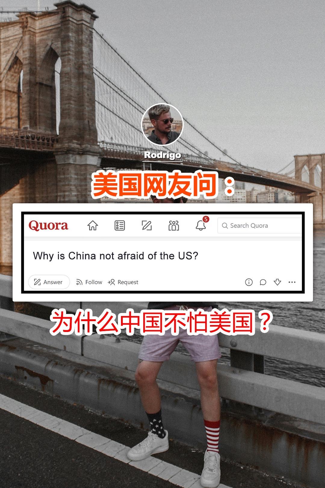 美国网友问：为什么兔子不害怕鹰酱？#外国人看中国 #油管网友评论 #老外看中国 