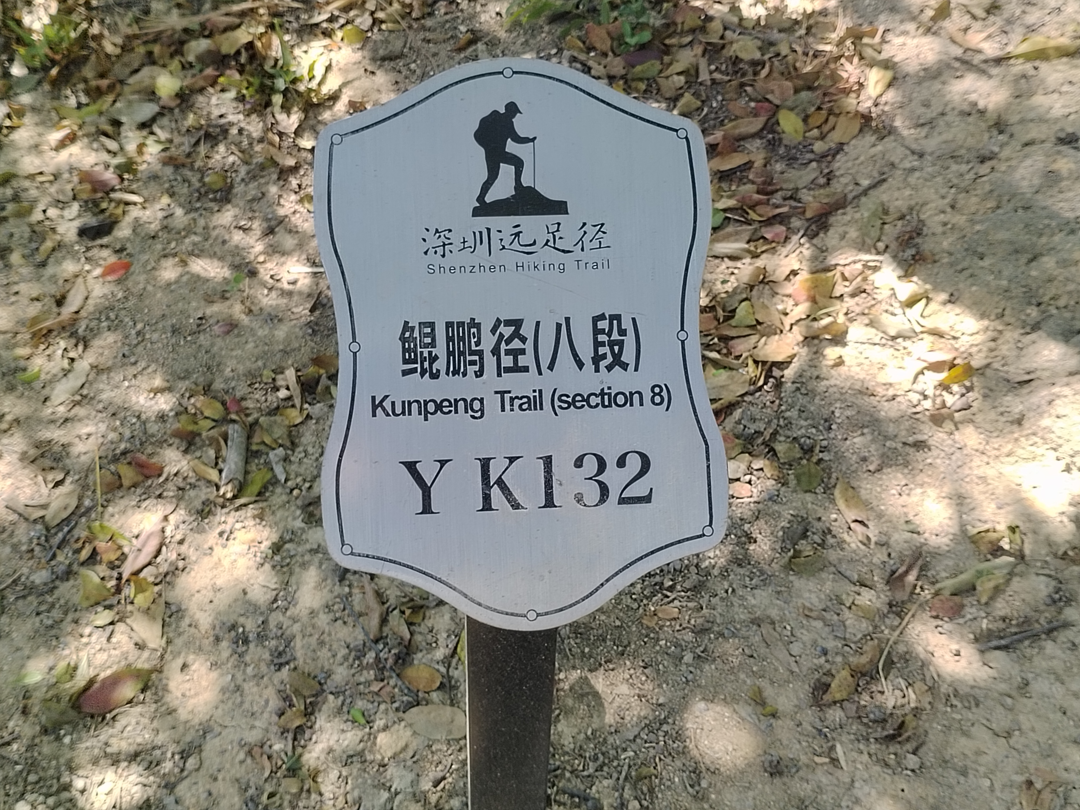 在深圳的山海里