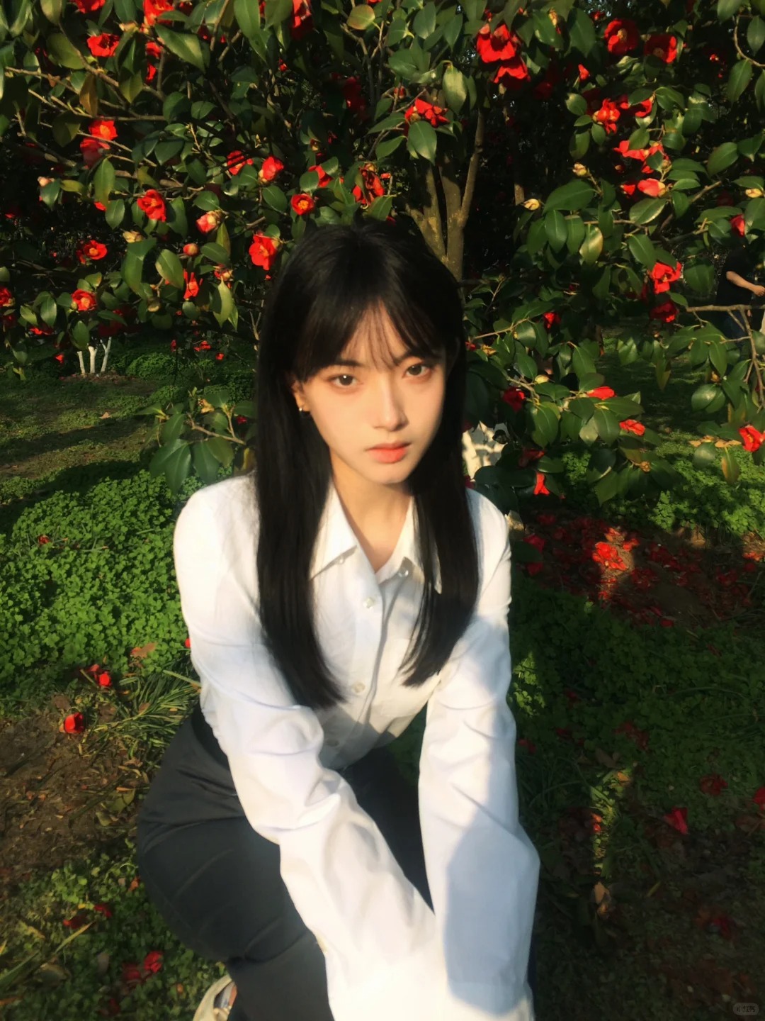 17002099455@wo.cn