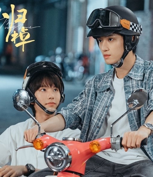 2025年开年热播剧评分榜TOP10揭晓！

其中，杨紫主演的《国色芳华》以7.