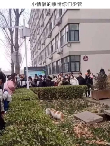 小情侣的事情你们少管