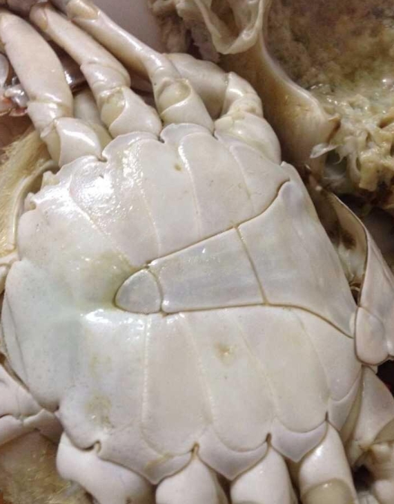 秋意浓，蟹黄肥，正当大家享受美味河蟹之际，却有人惊呼自家蟹疑似遭遇“注水危机”？