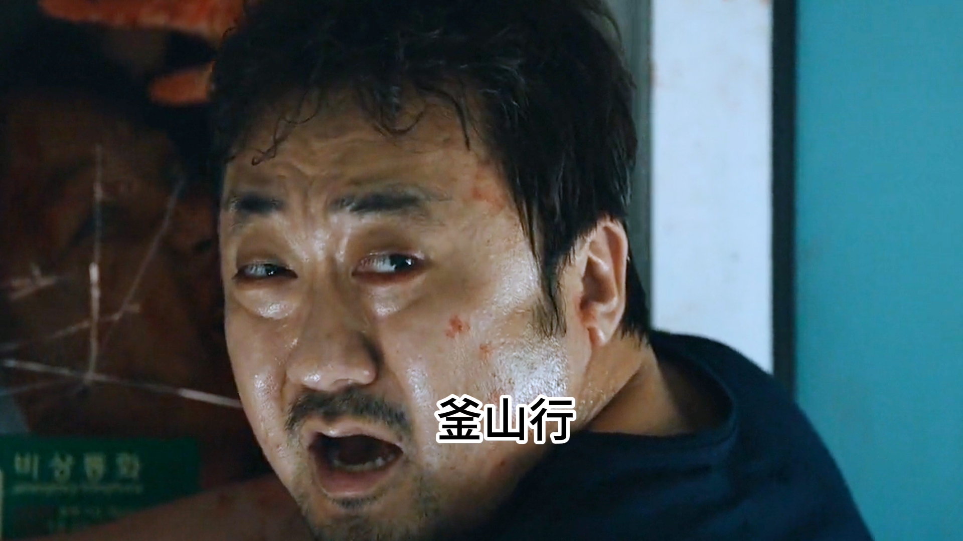 釜山行，来自马东锡的安全感吧