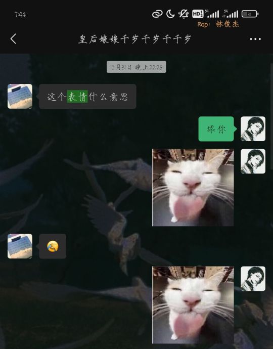 对话太搞笑了