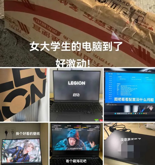 电脑到了玩植物大战僵尸