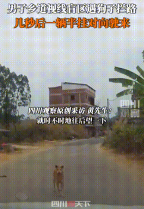 广西，男子开车途经弯道盲区时，发现一只小狗站在路中间一动不动，男子下意识踩刹车等
