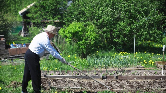母亲私奔，继父养大我，我发达后想接继父进城，一个女人找上门