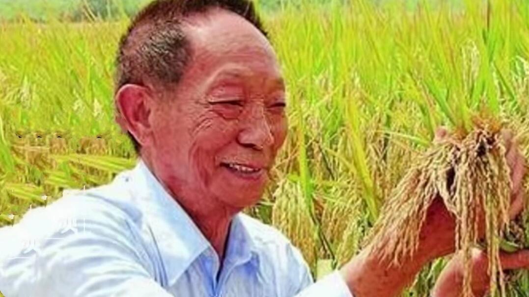 袁隆平孙女入读中国农业大学，传承伟大梦想