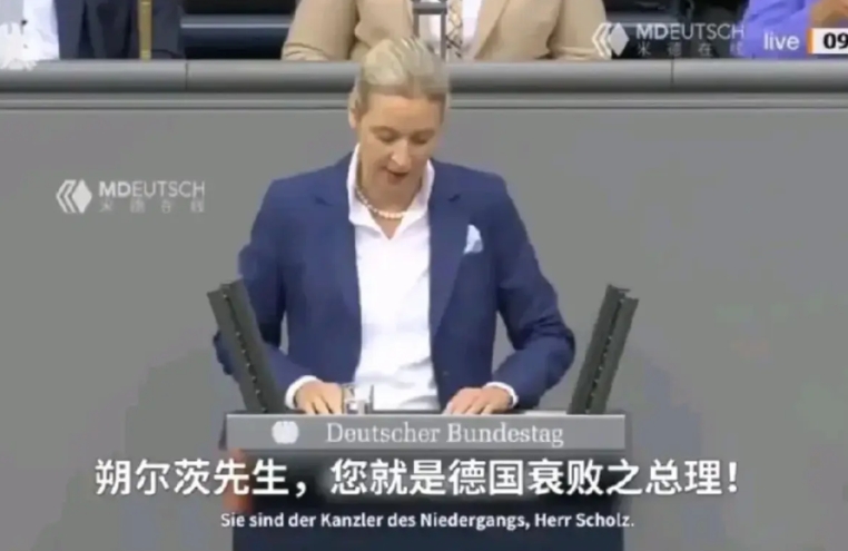 魏德尔对舒尔茨进行了严厉的斥责， 魏德尔说，这几年你跟着美国制裁打压俄罗斯，德民