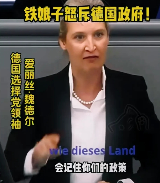 德国大选再现“韦氏之败”？
德国选择党的魏德尔，一个月内狂跌六成的支持率触底反弹