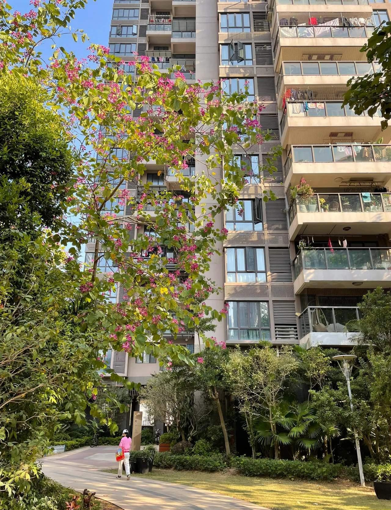 我想2800元找一个照顾老人的保姆，一天两顿饭，上午9.30到，给老人清理一下，