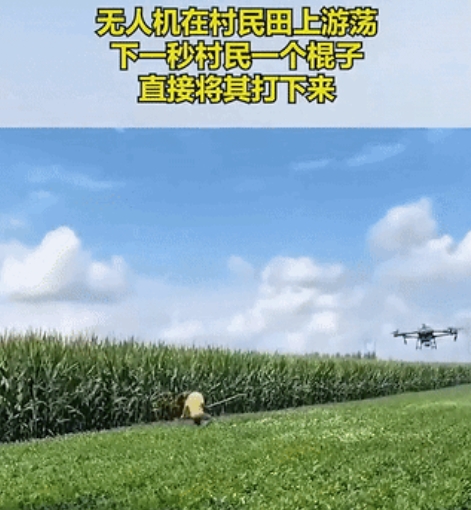 一架无人机在地里飞来飞去，有一个男人看见了，他觉得无人机在他们家的地里游荡着，挺