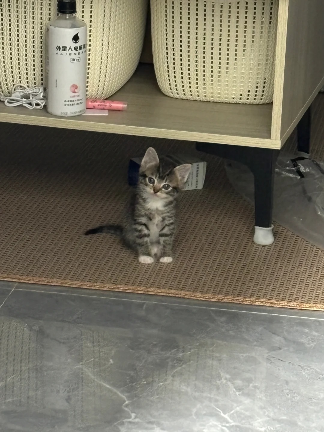 小猫一天可以睡多久？
七七到家的第八天
小猫怎么一天到晚都在睡觉啊啊啊
一天二十