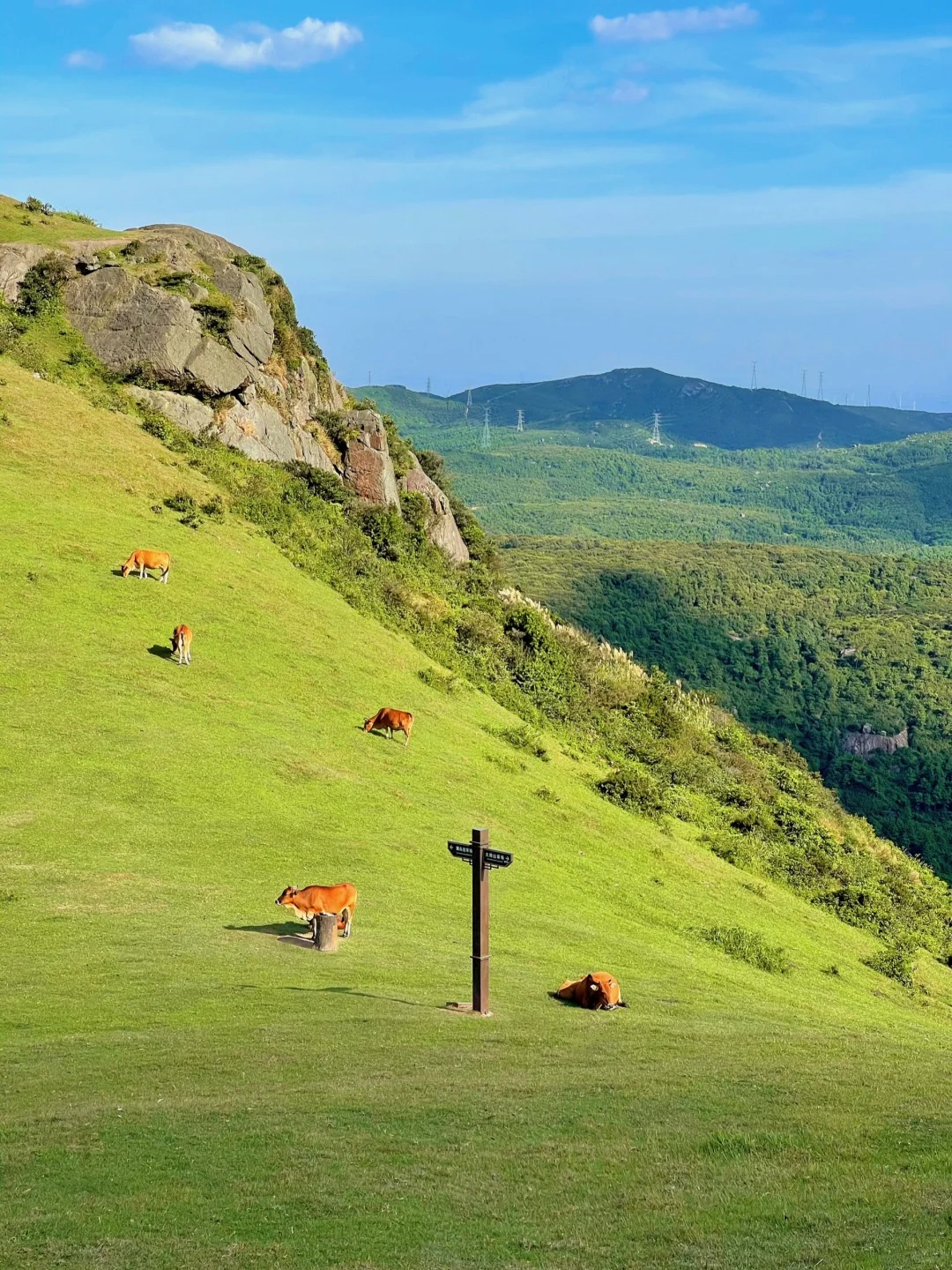 福建不止有海岛，还有福建版小瑞士～
福建不仅有众多小众海岛
还有治愈系的天然大草