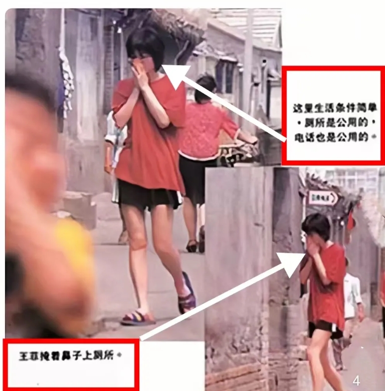 王菲绝对是能陪男人吃苦的女人！

这是1995年的夏天，王菲和窦唯同居的四合院胡