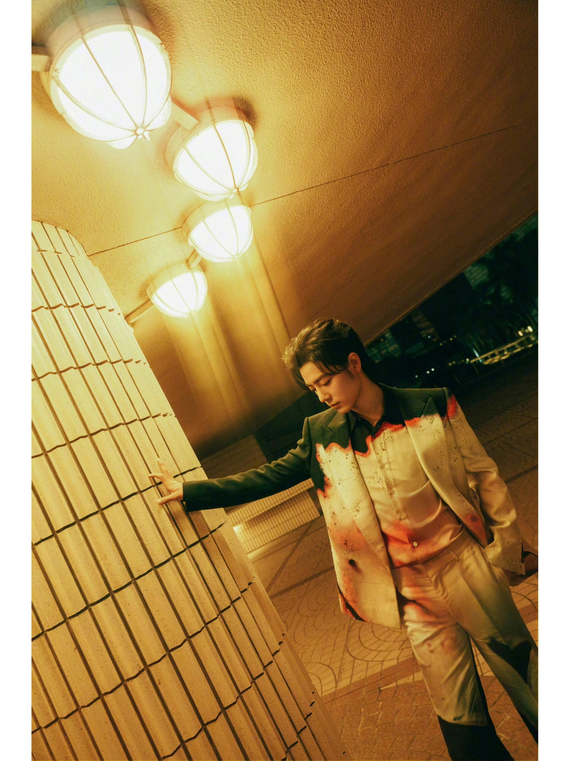 精致又亮眼肖战