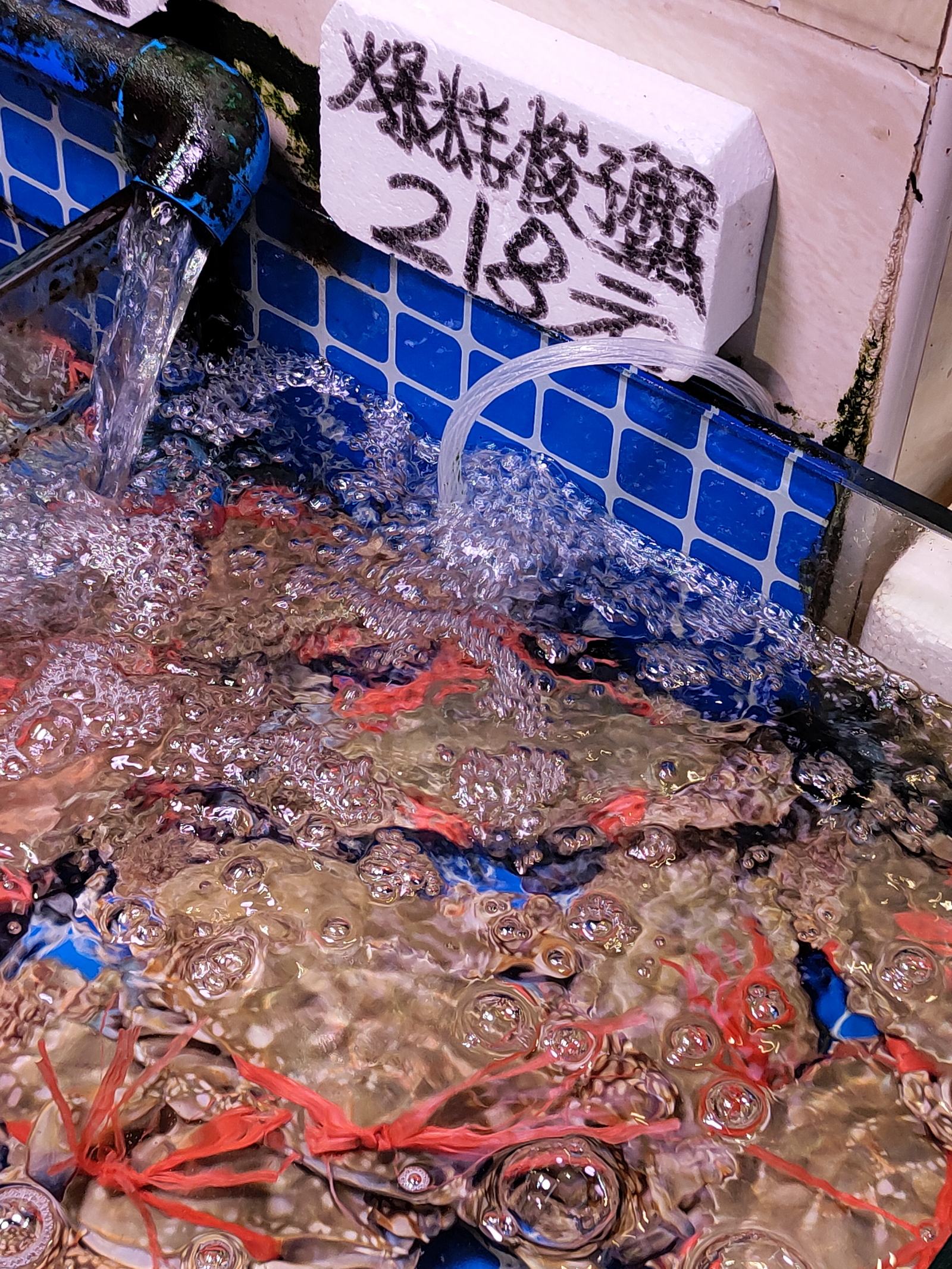 218/斤的三疣梭子蟹（白蟹/冬蟹），真敢标价[doge]。广州市区不同区域的物