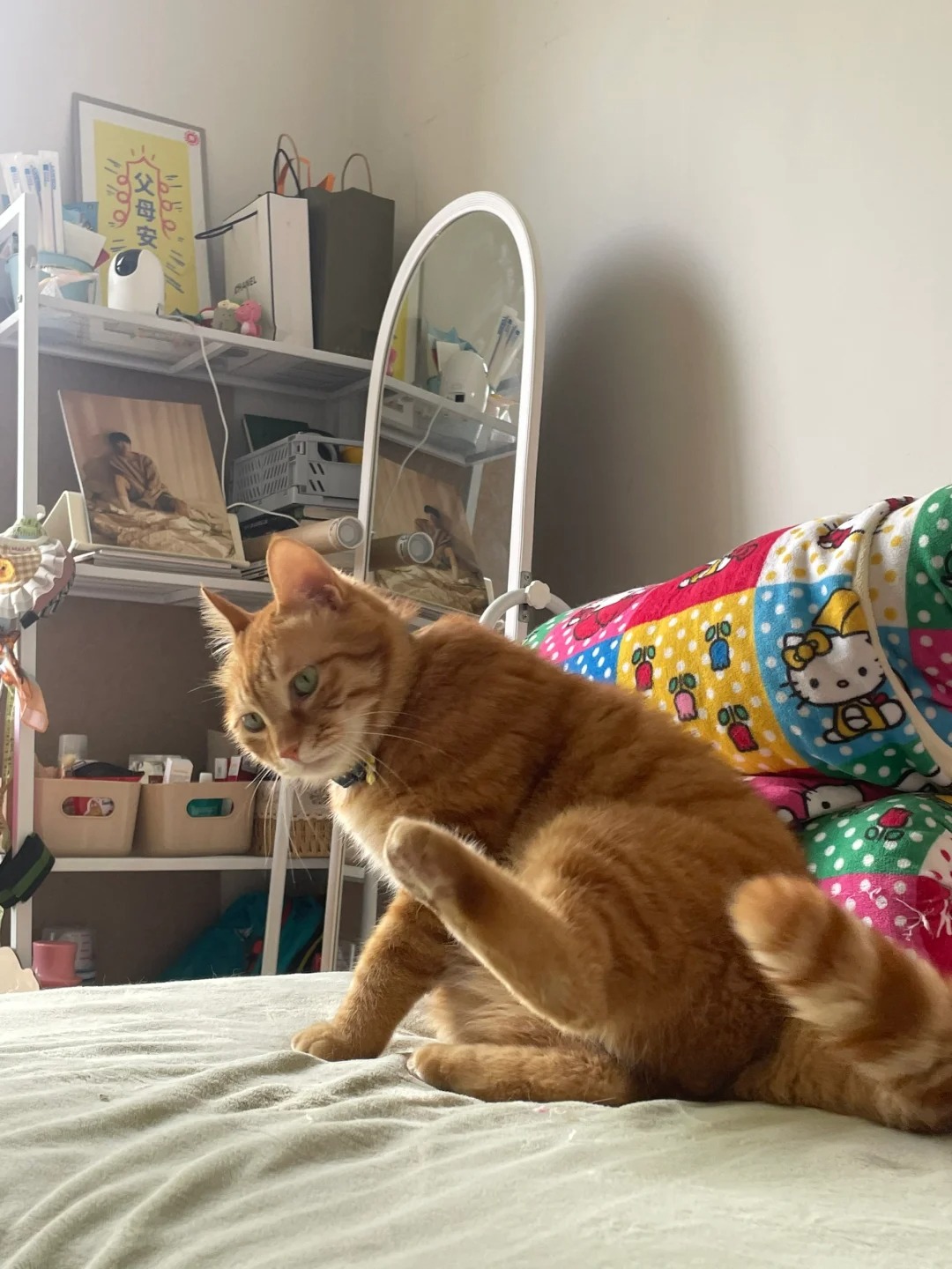 黄猫给我的床踩出四个大坑！
真的很喜欢一屁股坐在我的床上！