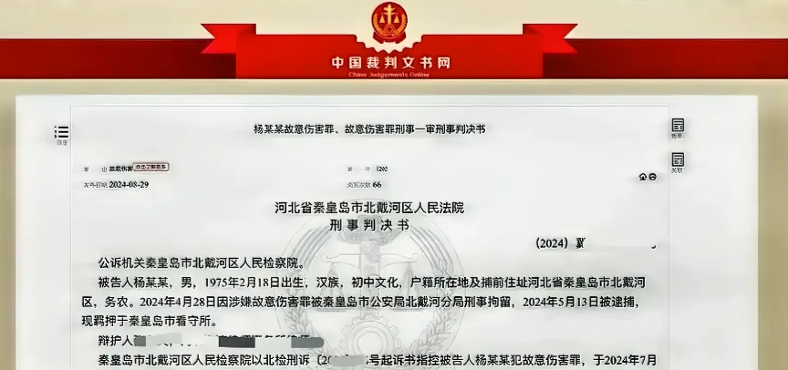 河北，男子在车上发现妻子出轨的证据后，又通过妻子的手机确认妻子已经出轨7年。为了