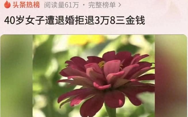 女子不买车不结婚 男友悔婚要回彩礼

                     