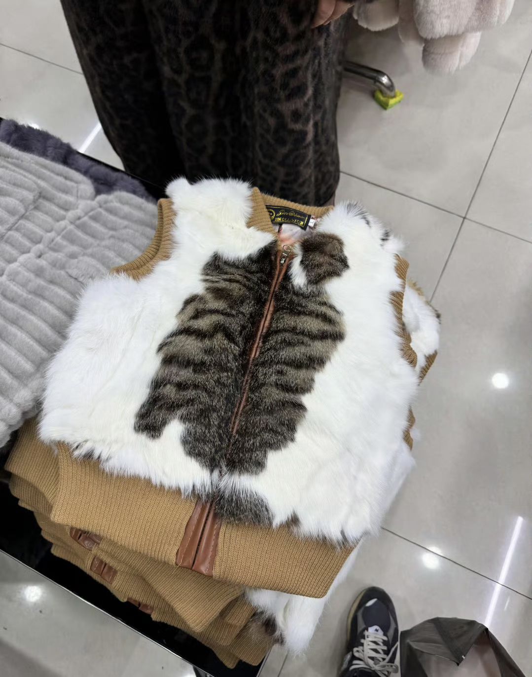 这怎么看都像只猫