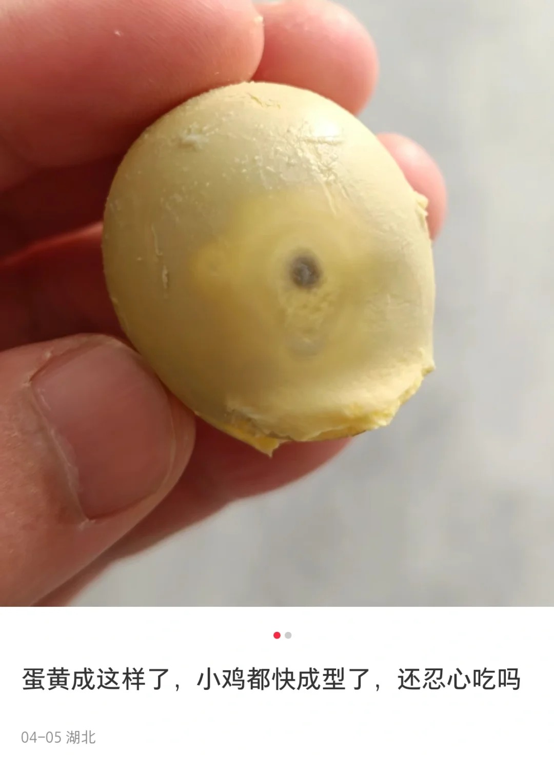 这也太残忍了吧
哈哈哈哈哈哈评论区真的很有意思
我上班要笑岔气了