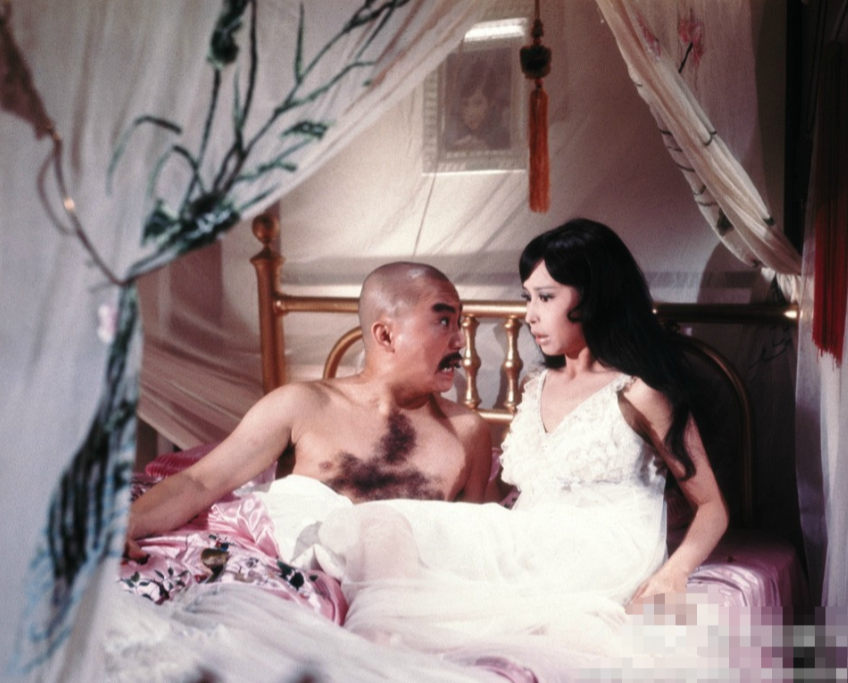 1972年有一部经典影片名为《大军阀》，胡锦给观众留下深刻印象，她饰演的是一个“