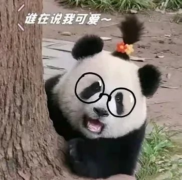 爱姐真的不是人扮的吗？我可以很负责任的告诉你：爱姐真的不是人扮的，爱姐本来就是人