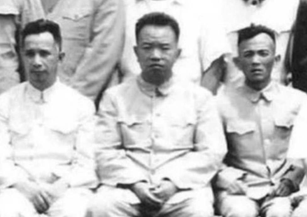 上世纪50年代，总军械部部长王树声大将不小心摔伤了腿，妻子赶去市场买回来一只母鸡