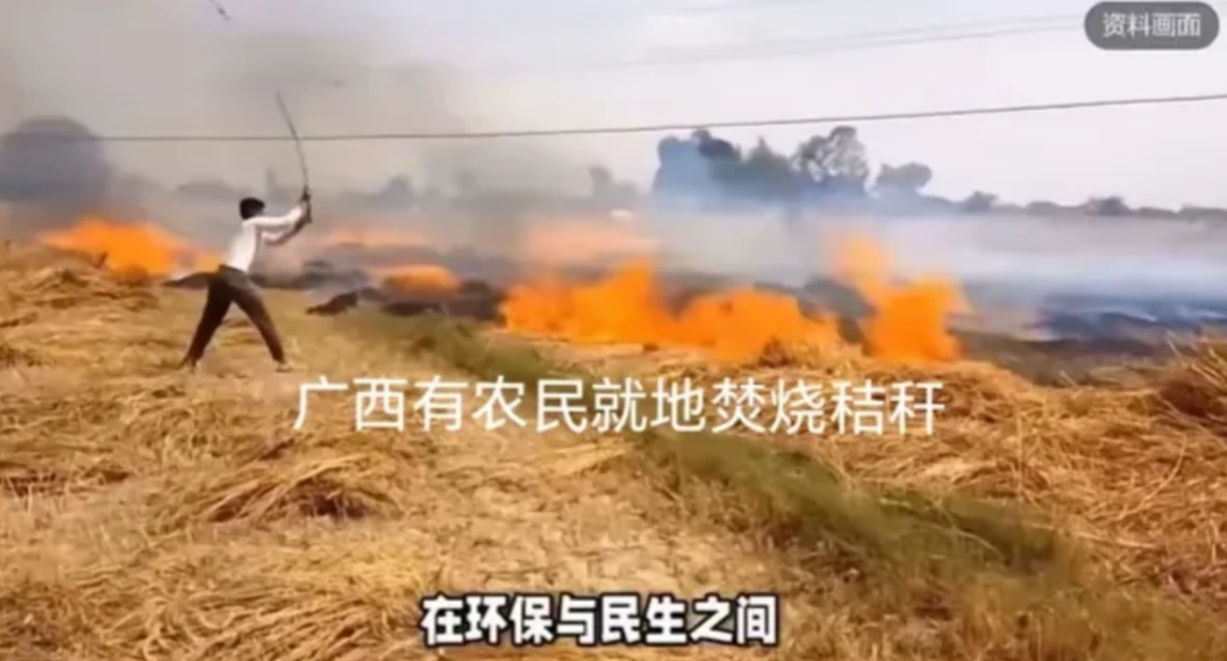 广西农民已不再忍让，开始焚烧秸秆！
有专家去农田查看，精奇地发现，秸秆内有很多害