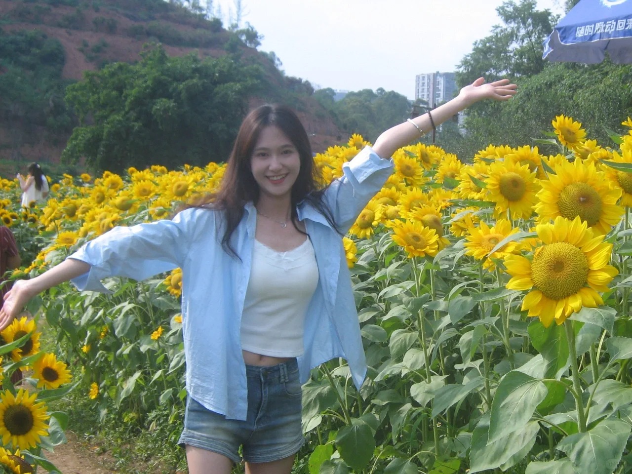 绿心公园的向日葵
想拍向日葵的乐山小姐妹们快去哦，真的巨出片，随手一拍都很绝