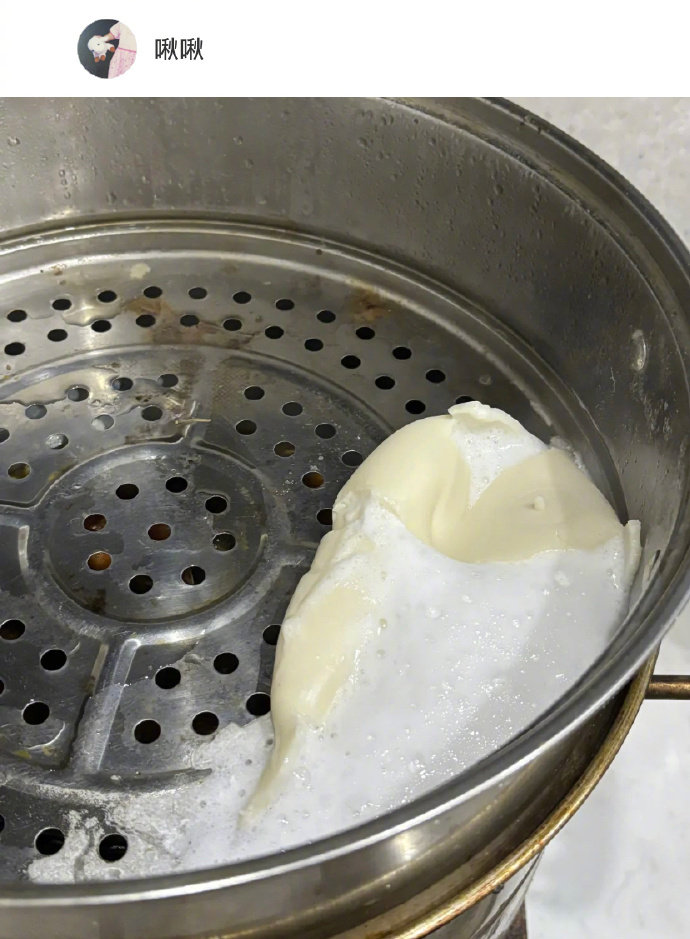 捏捏被家人当成包子蒸了