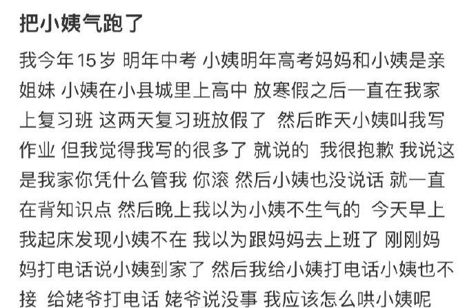 把小姨气跑了