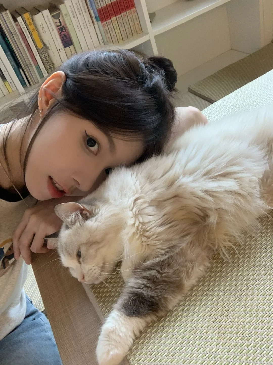 请接受小猫咪的贴贴！