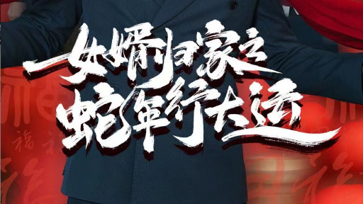 短剧在线观看《女婿归家之蛇年行大运-蛇年已至游子当归》完整版全集（65集）