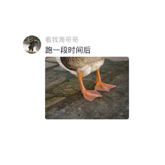 野生跑步机就是有点费脚底板