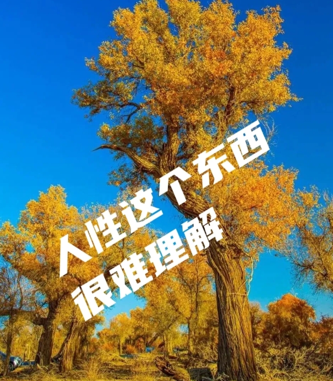 到底是谁？在向人民群众说拜拜，关于云朵师徒的事，我再说几句，本来我多次呼吁师徒俩