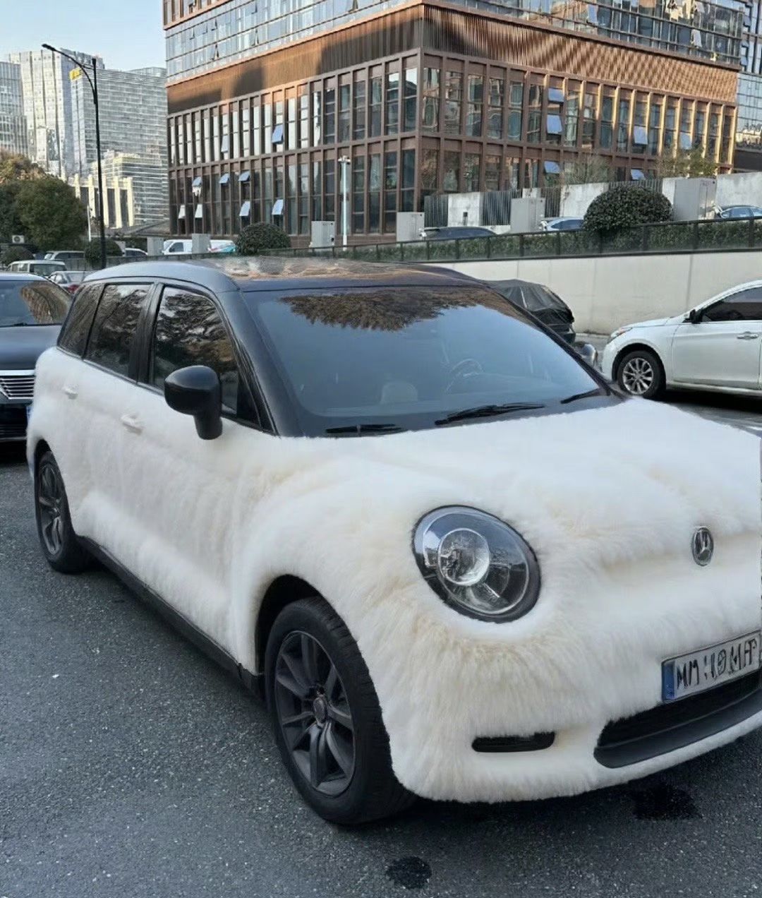 我的车都准备过冬了