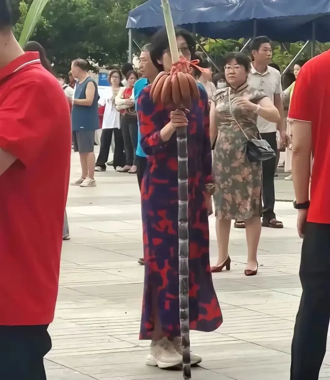 一看就是文化人！[笑哭][笑哭][笑哭]