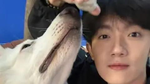 娱乐圈两天曝4个瓜，演员王星已被成功营救，张颂文线下约女粉丝